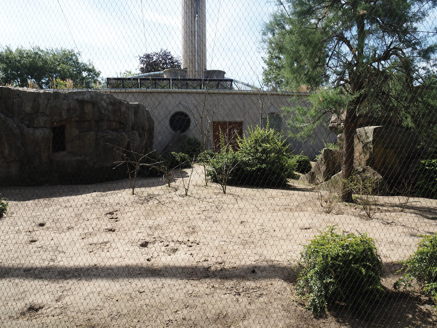 Gelada family group and Blue-winged goose exhibit, 2024-06-30