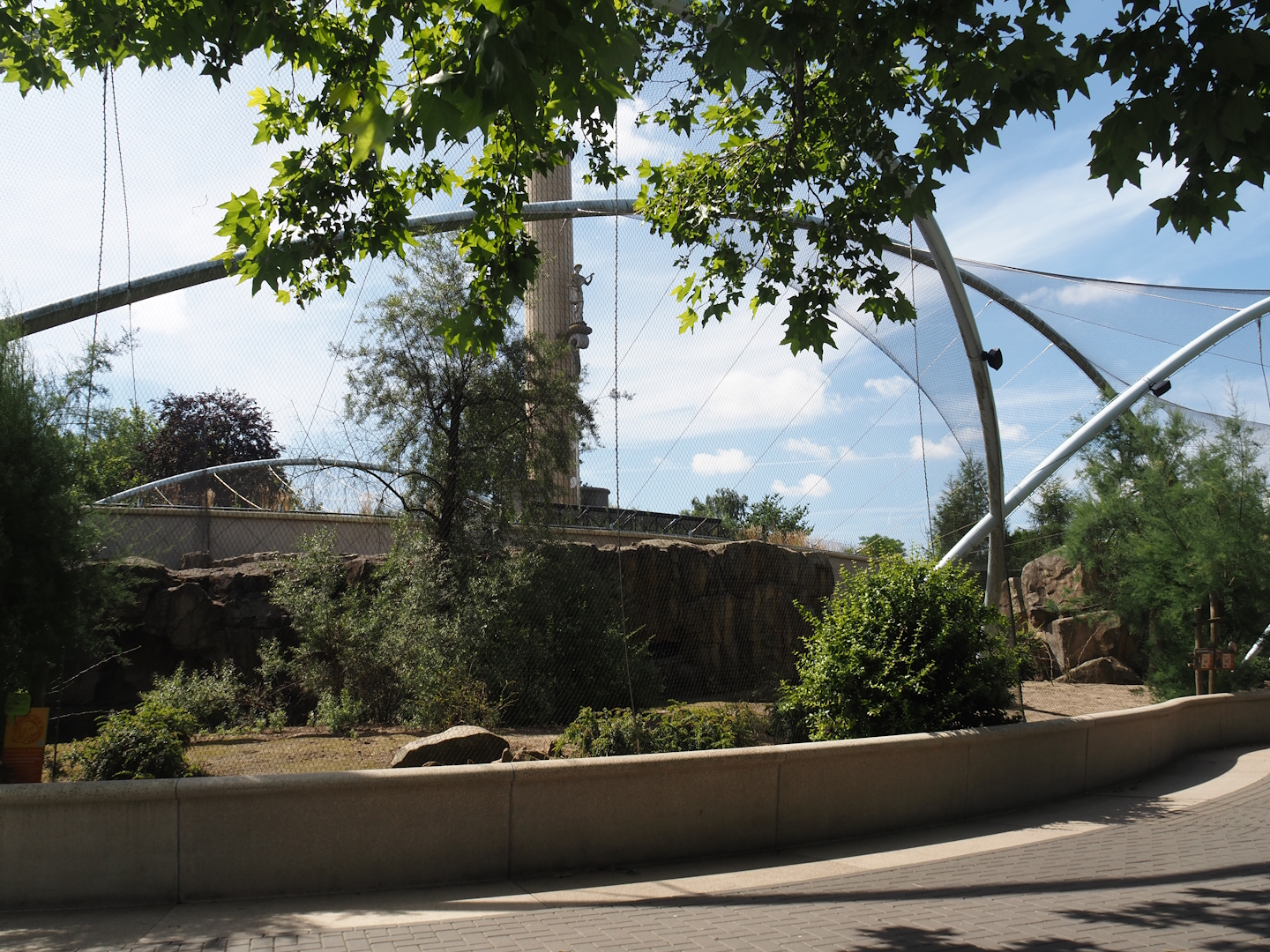 Gelada family group and Blue-winged goose exhibit, 2024-06-30