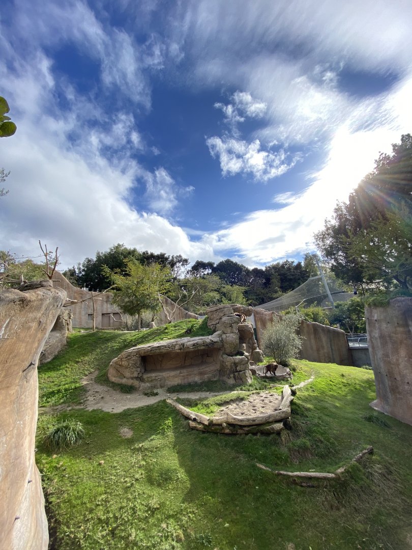 Gelada Habitat - Africa Rocks