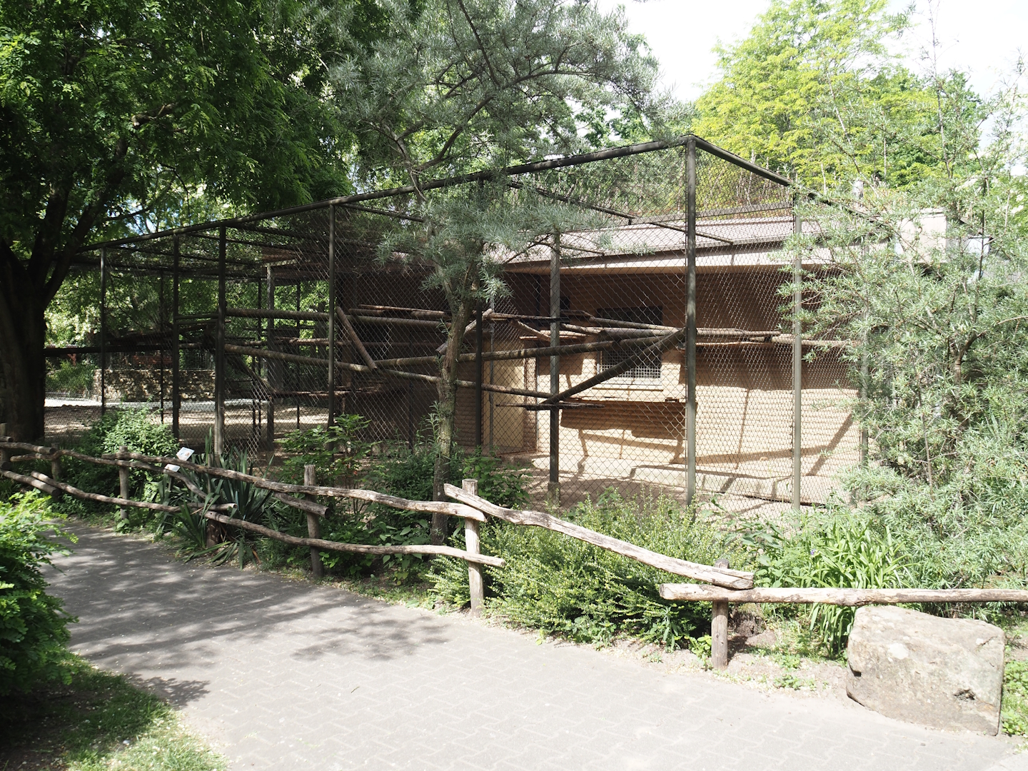 Gelada holding cage, 2025-05-22