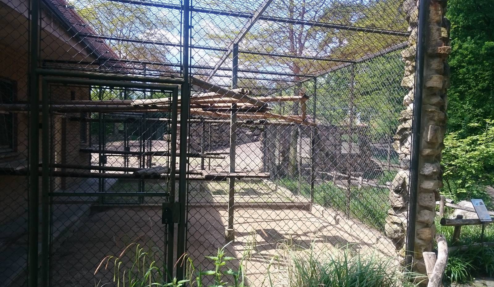 Gelada holding cages