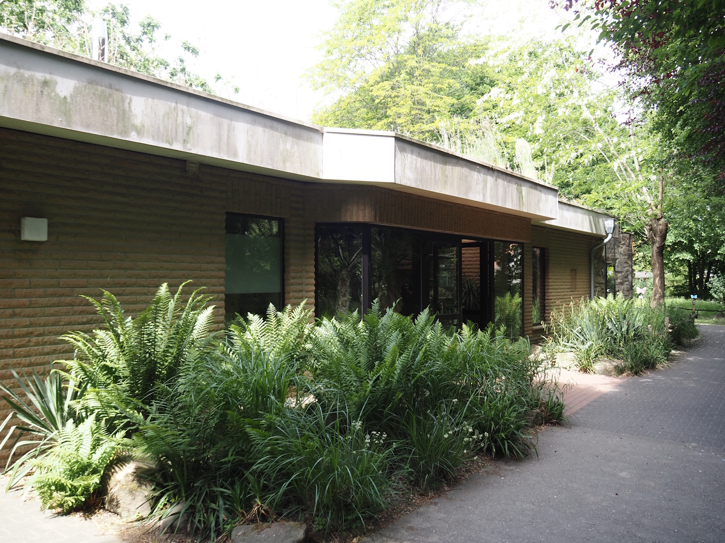 Gelada house, 2025-05-22