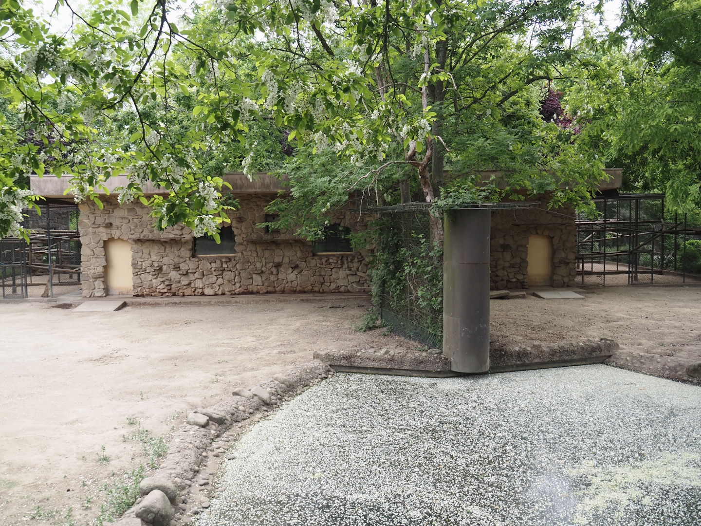 Gelada house between the two Gelada exhibits, 2025-05-22