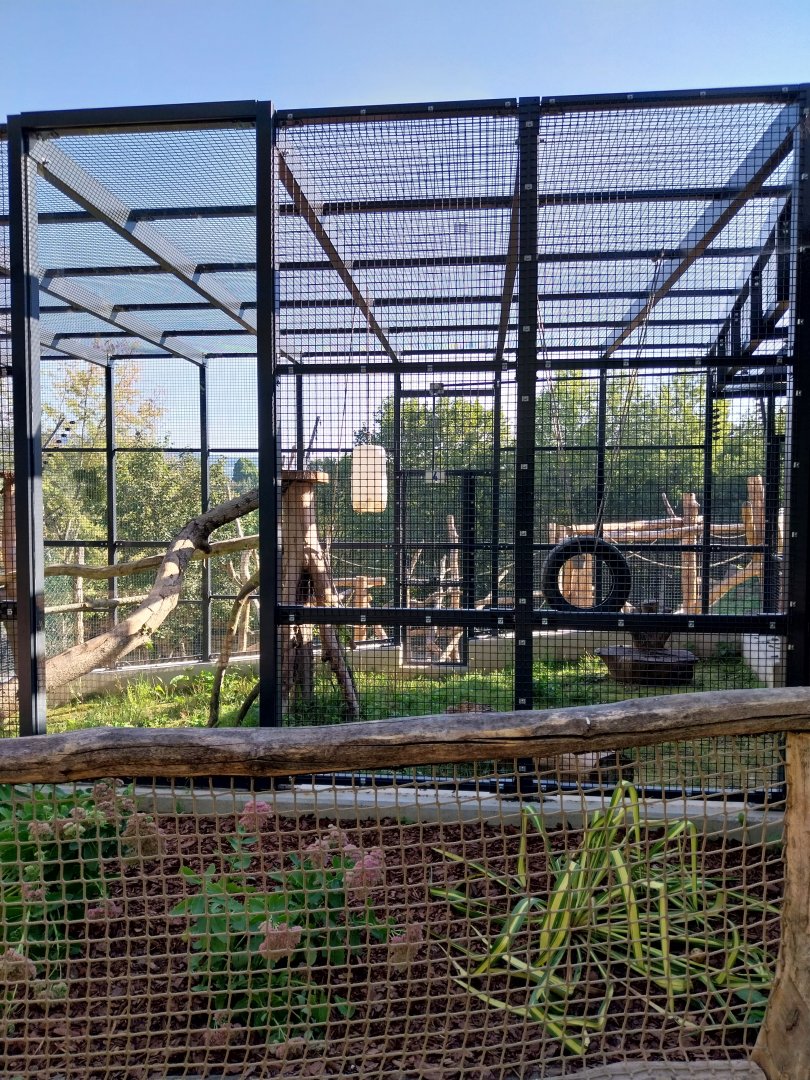 Gelada house - Seperation cage