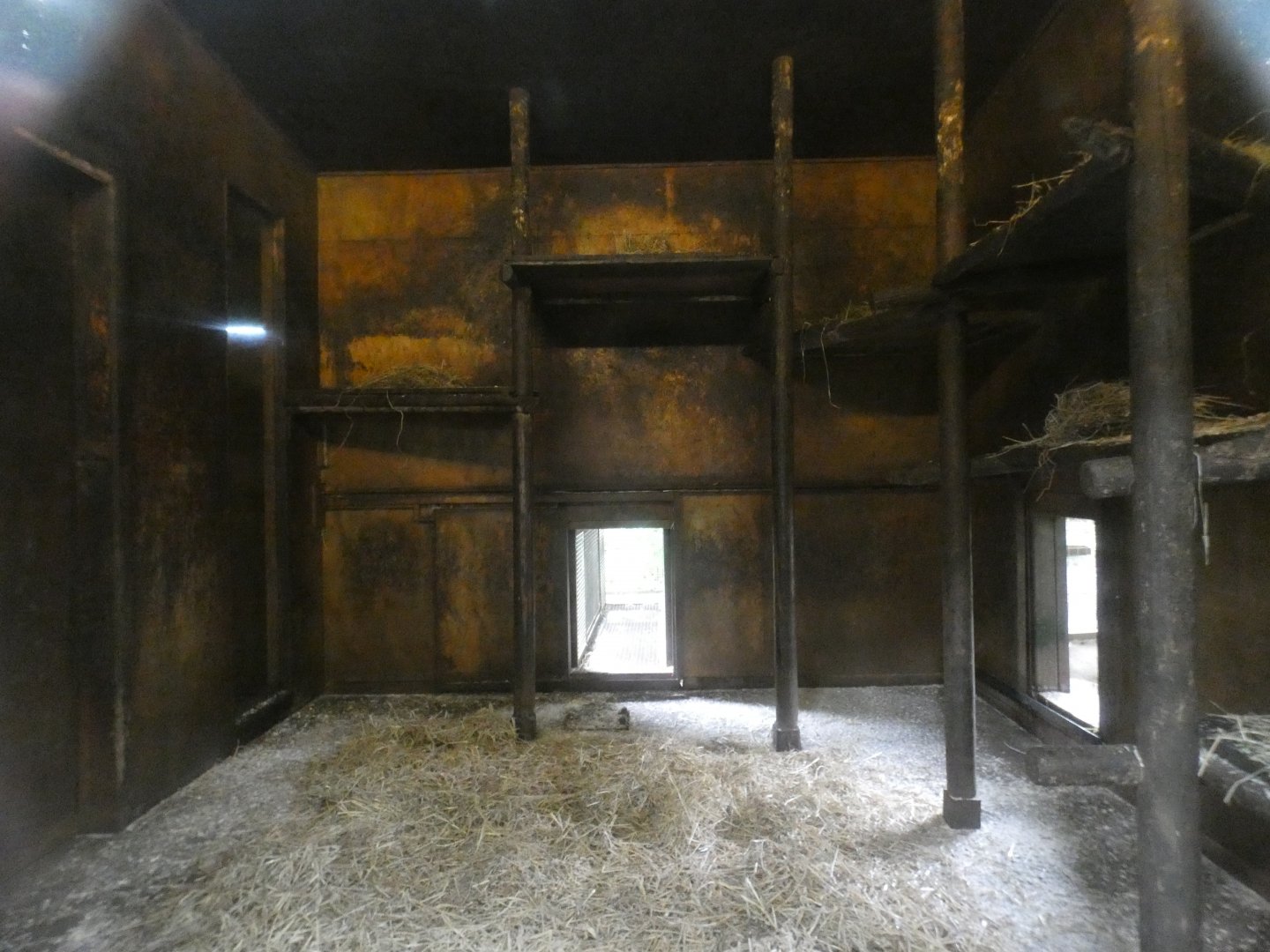 Gelada indoor enclosure (2)