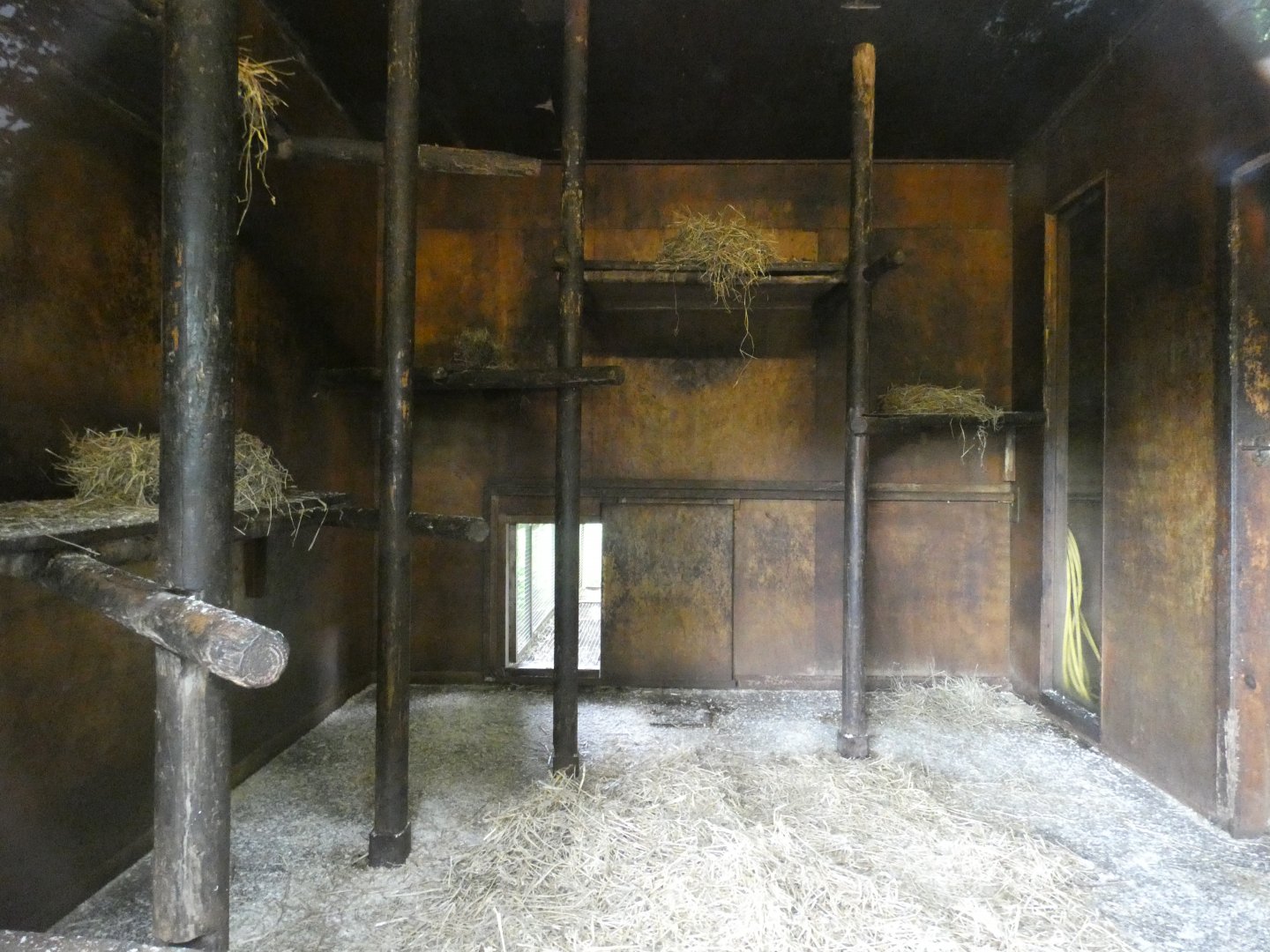 Gelada indoor enclosure