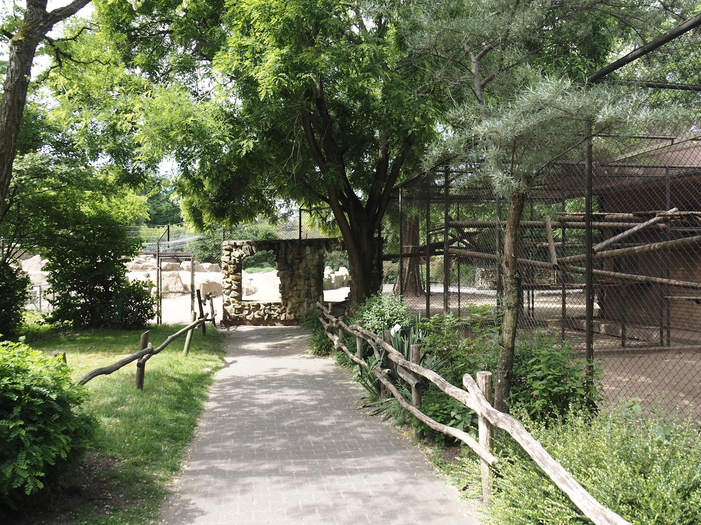 Gelada outdoor exhibit viewing window and holding cage, 2025-05-22