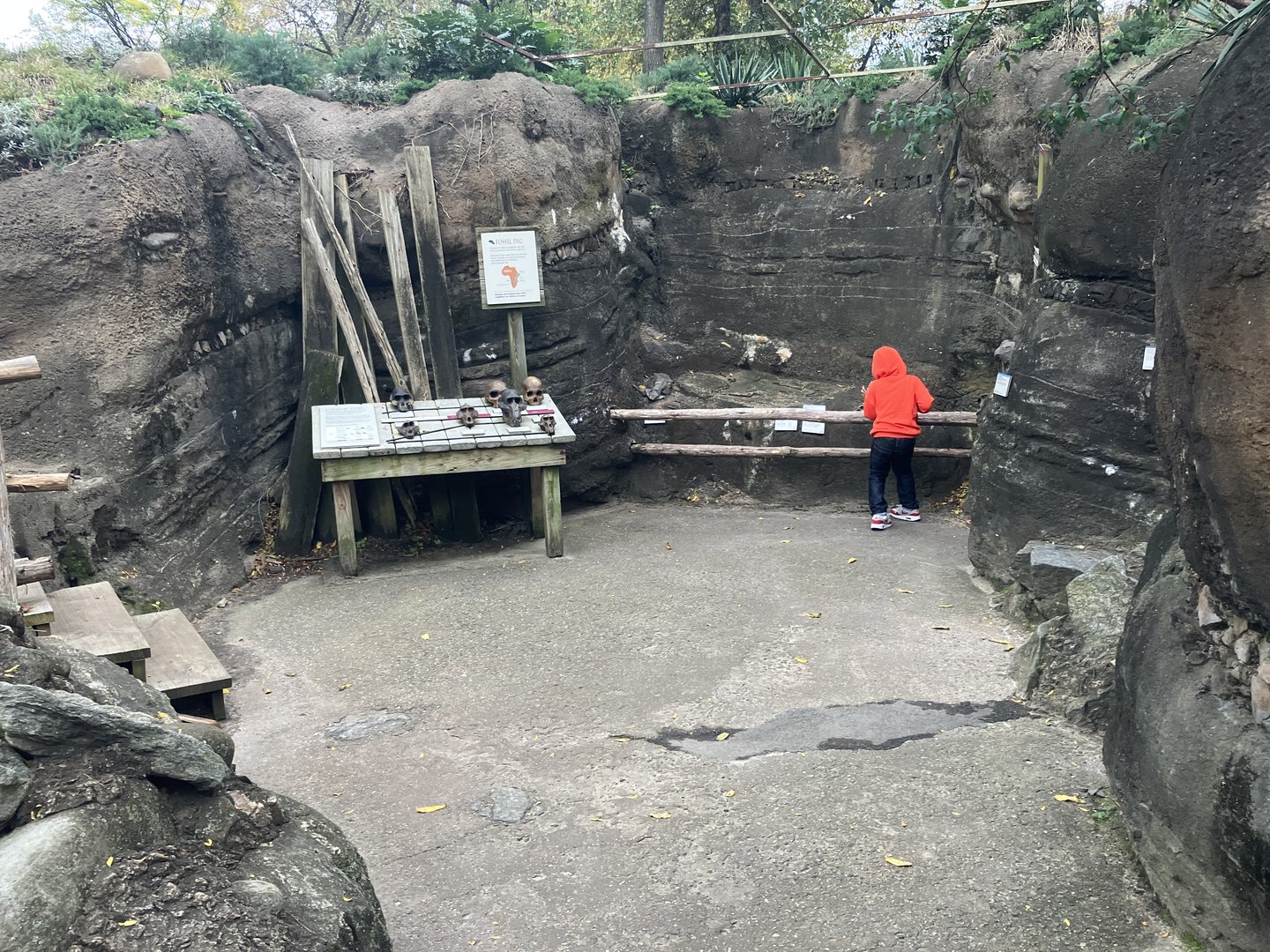 Gelada Reserve - Interpretive Display