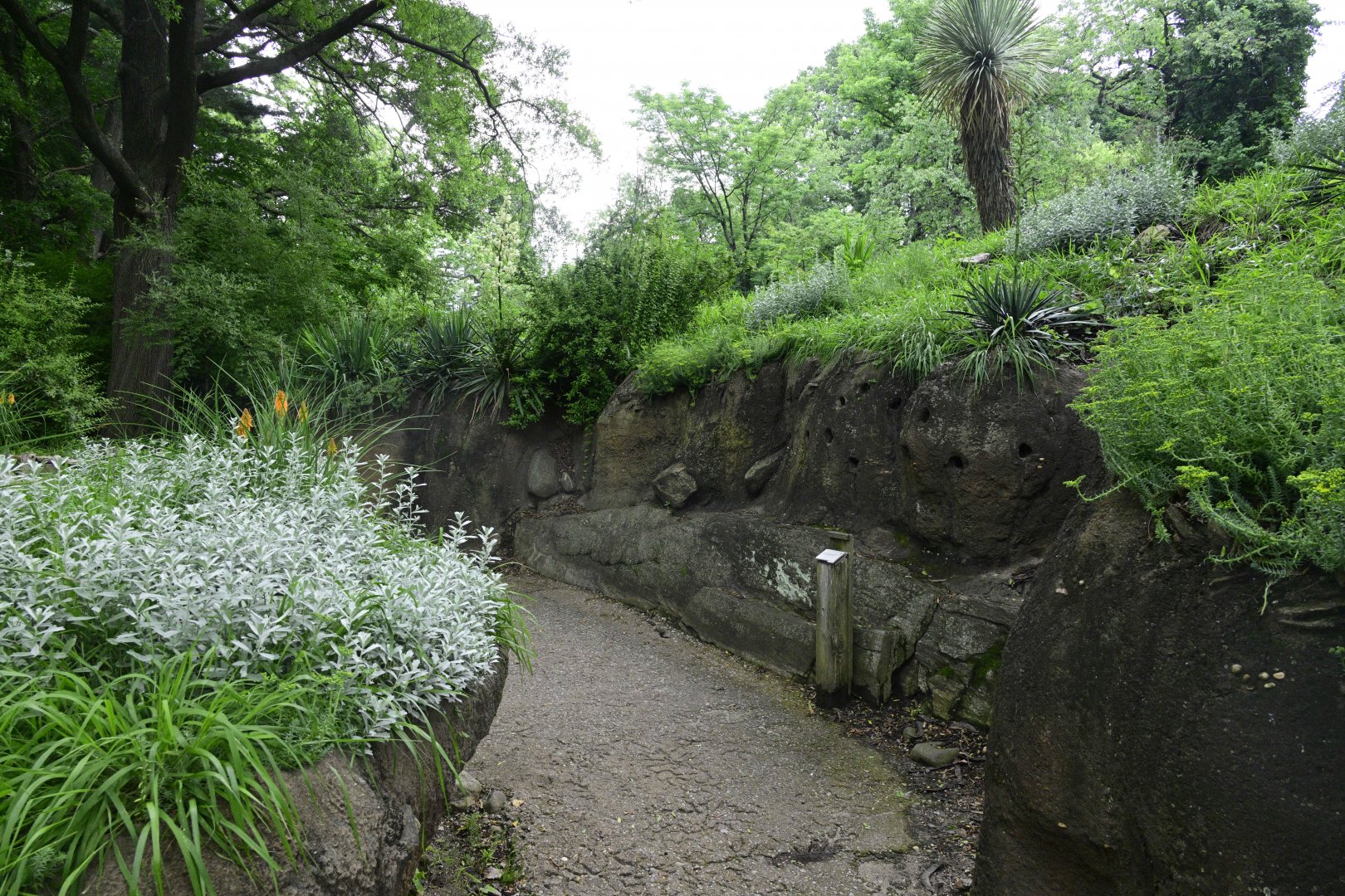 Gelada Reserve - Landscape and Scenery