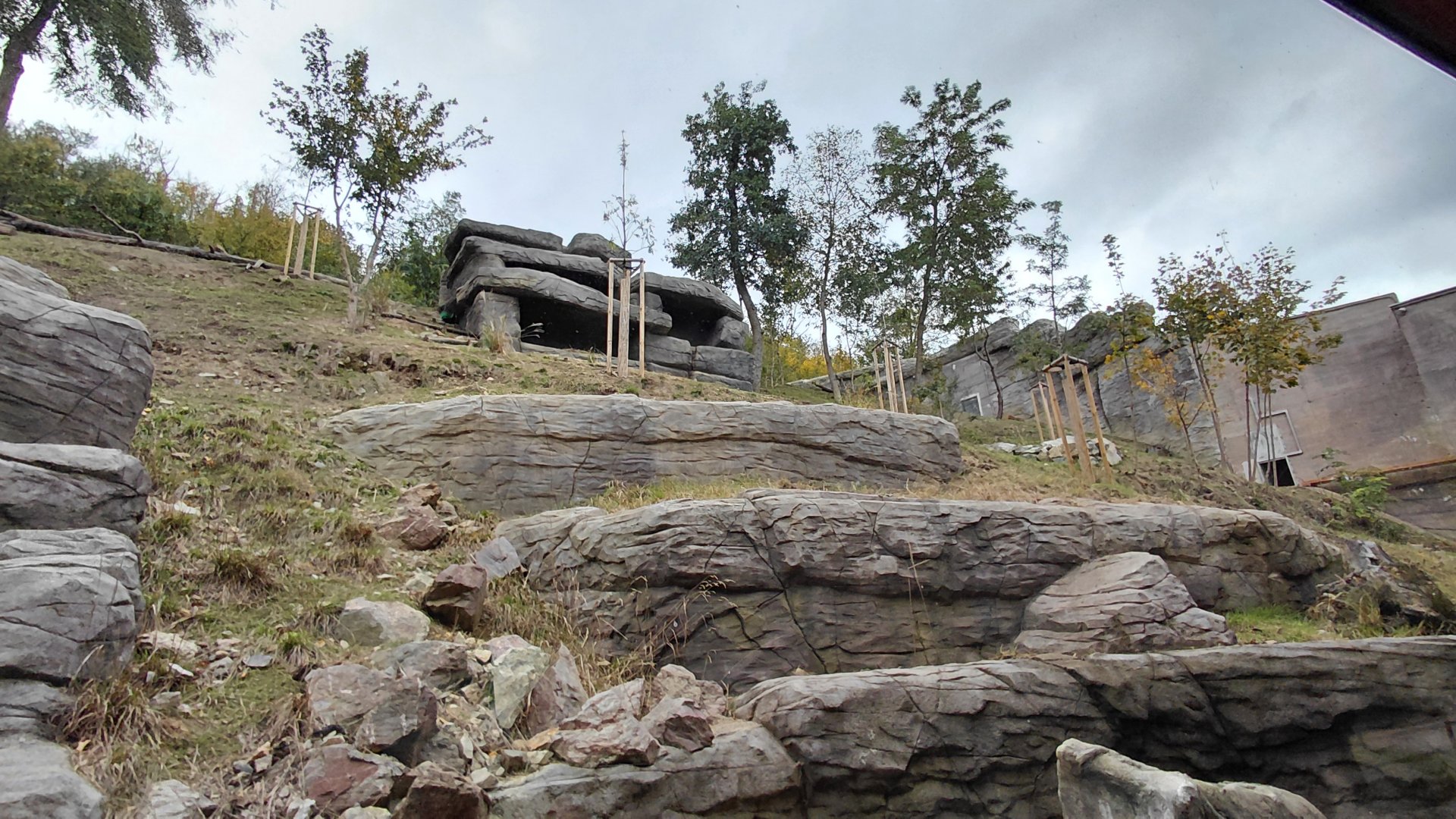 Gelada + rock hyrax exhibit