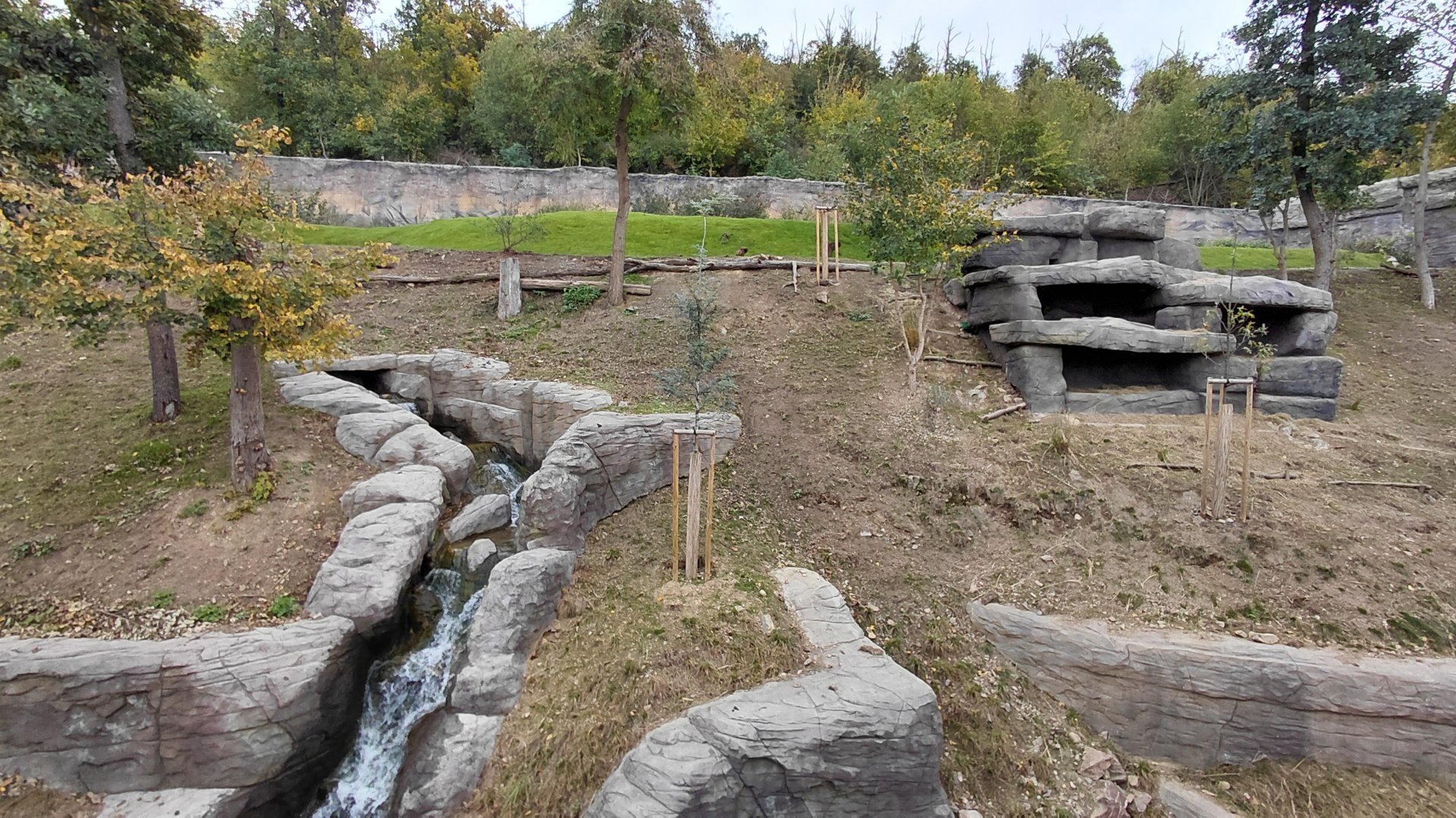 Gelada + rock hyrax exhibit