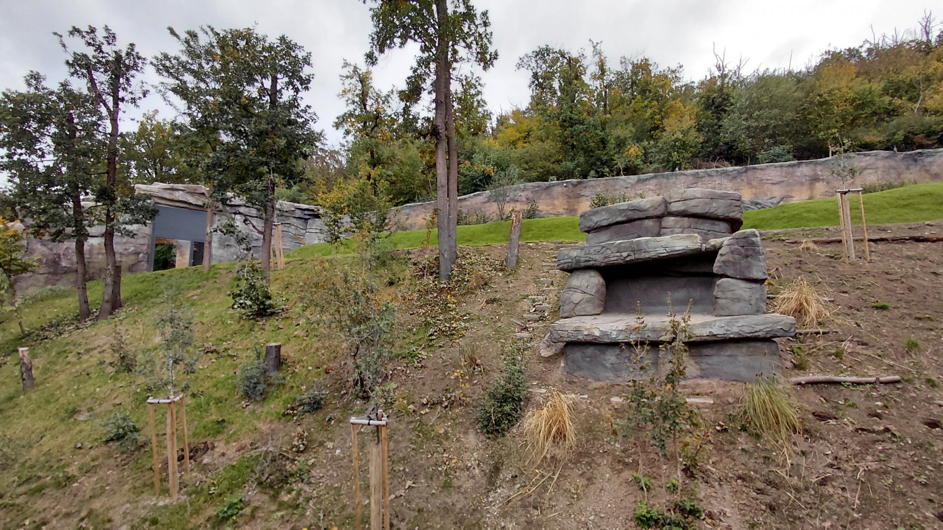 Gelada + rock hyrax exhibit