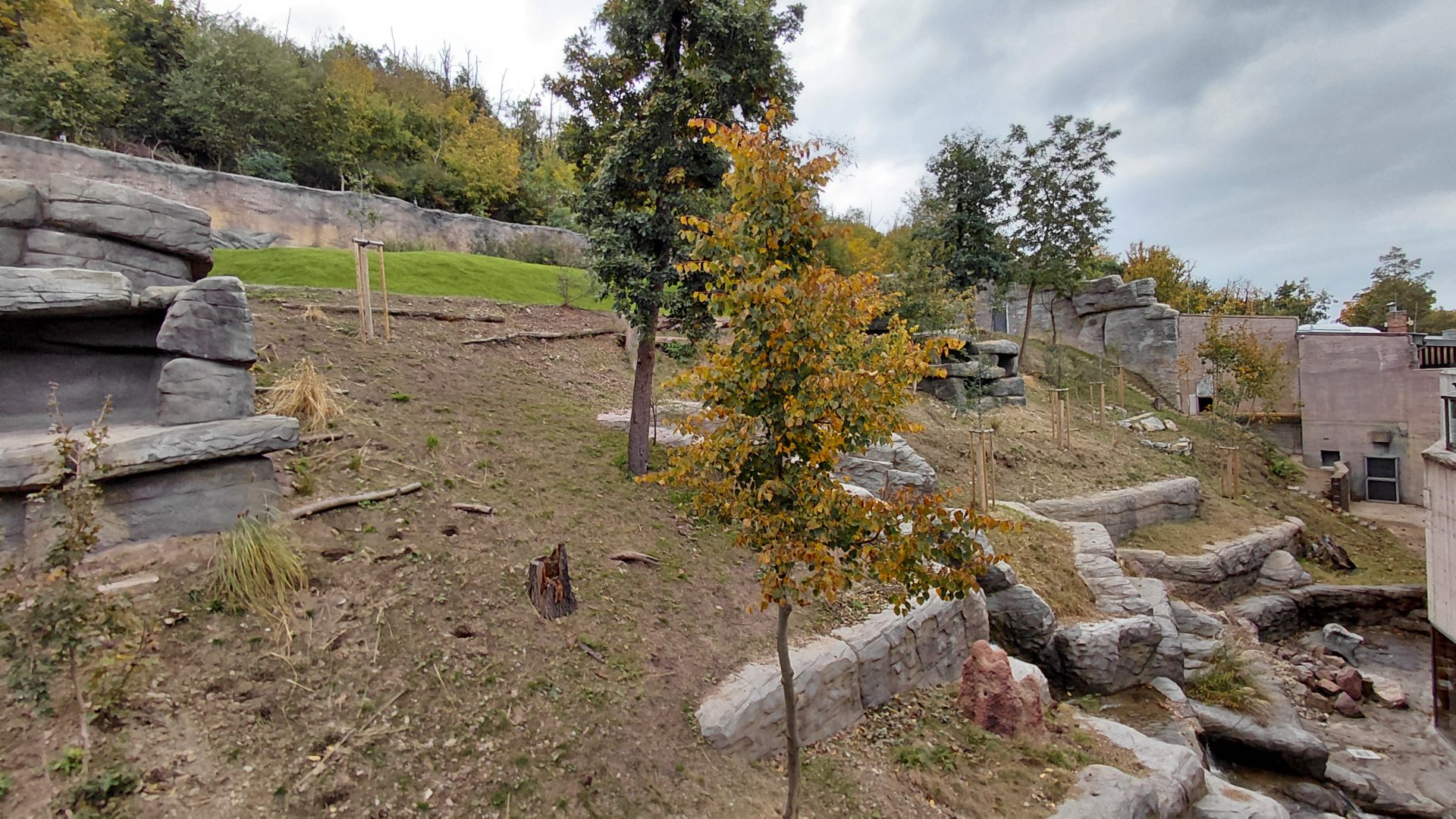 Gelada + rock hyrax exhibit