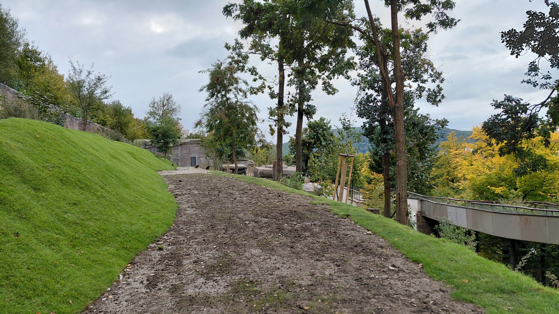 Gelada + rock hyrax exhibit