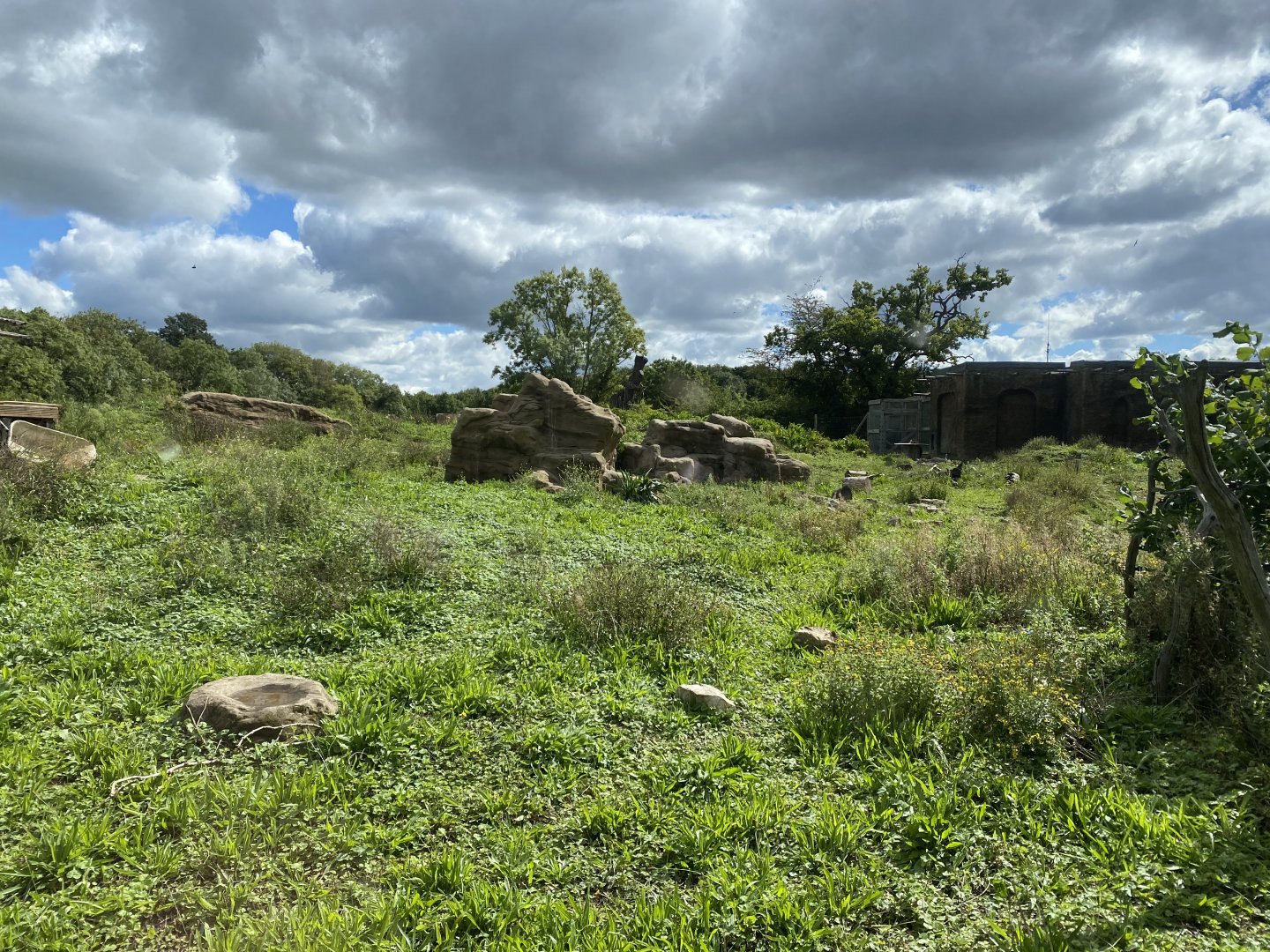 Gelada Rocks (from Gelada Lookout) 290820