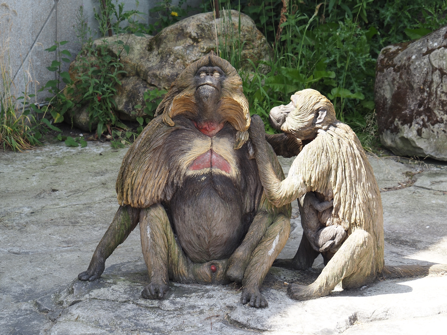 Gelada statues, 2024-06-30