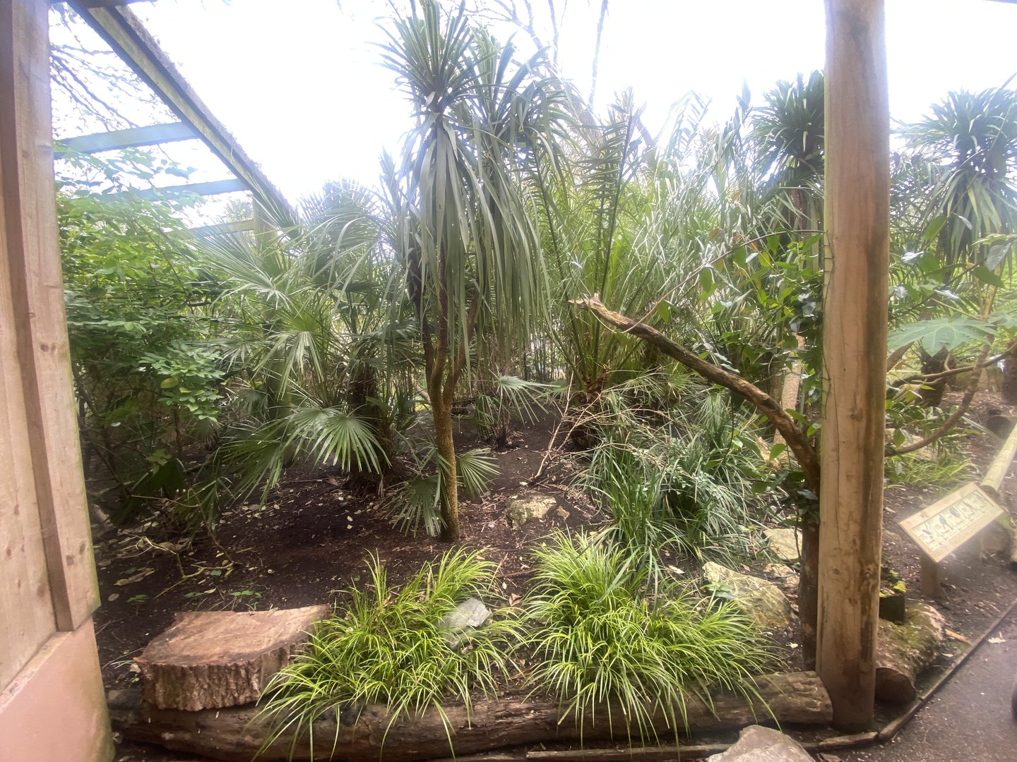 Gems of the Jungle 060523