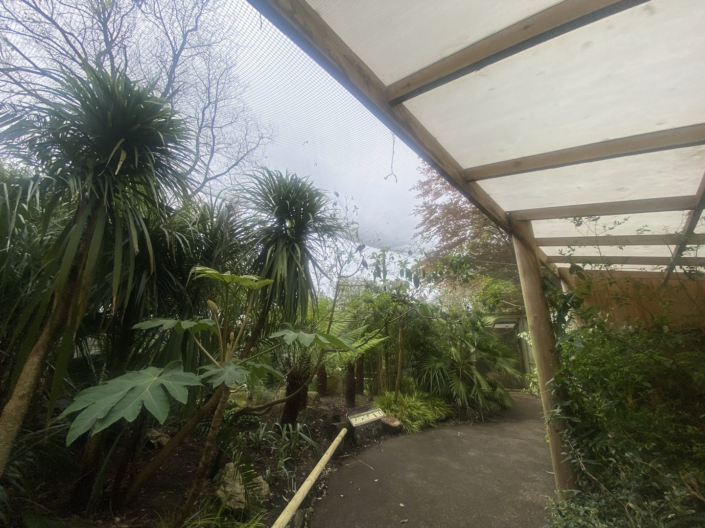 Gems of the Jungle 060523