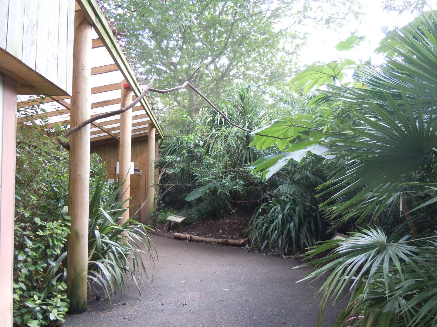 Gems of the Jungle 070920