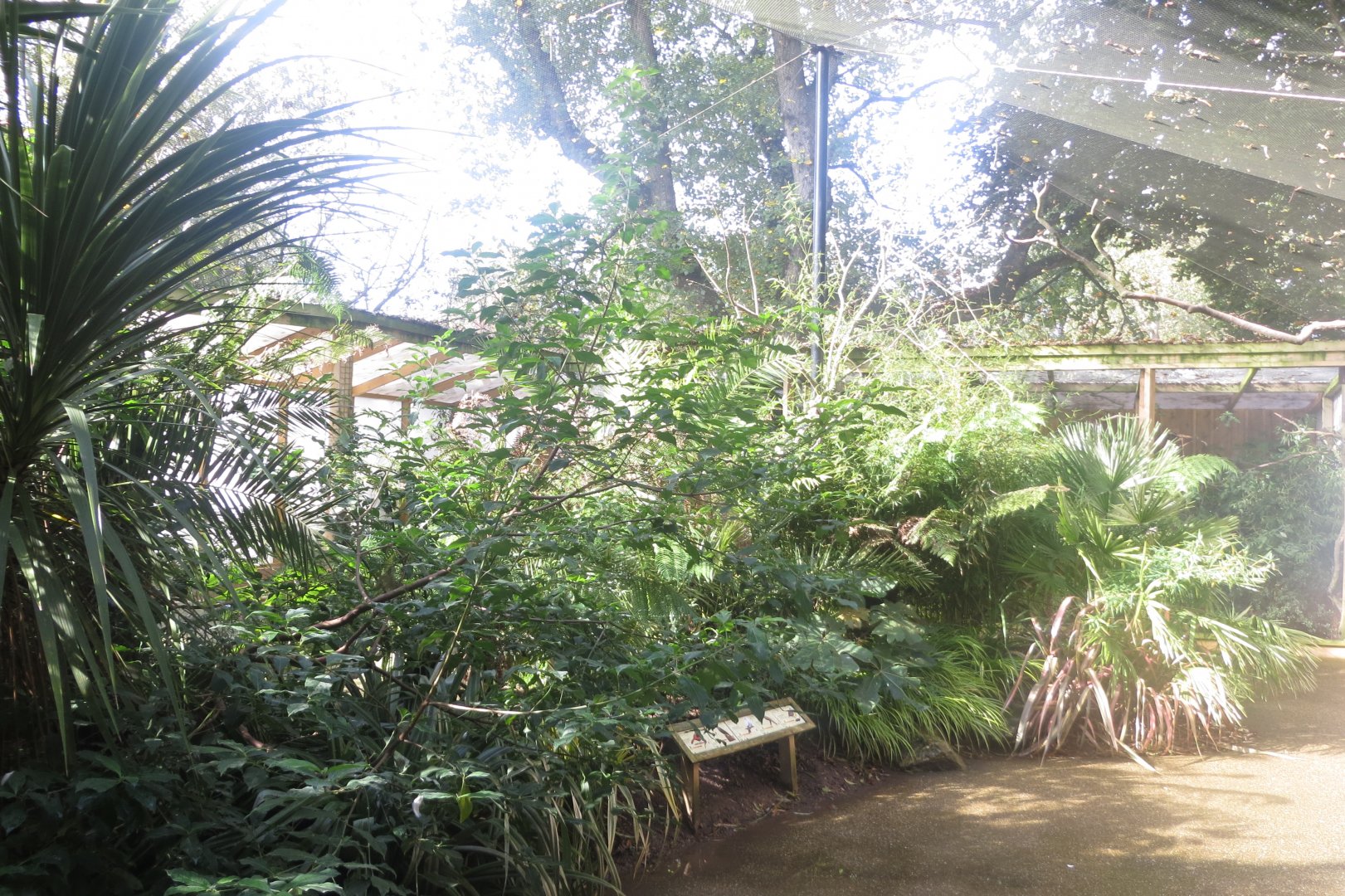 Gems of the Jungle 081018