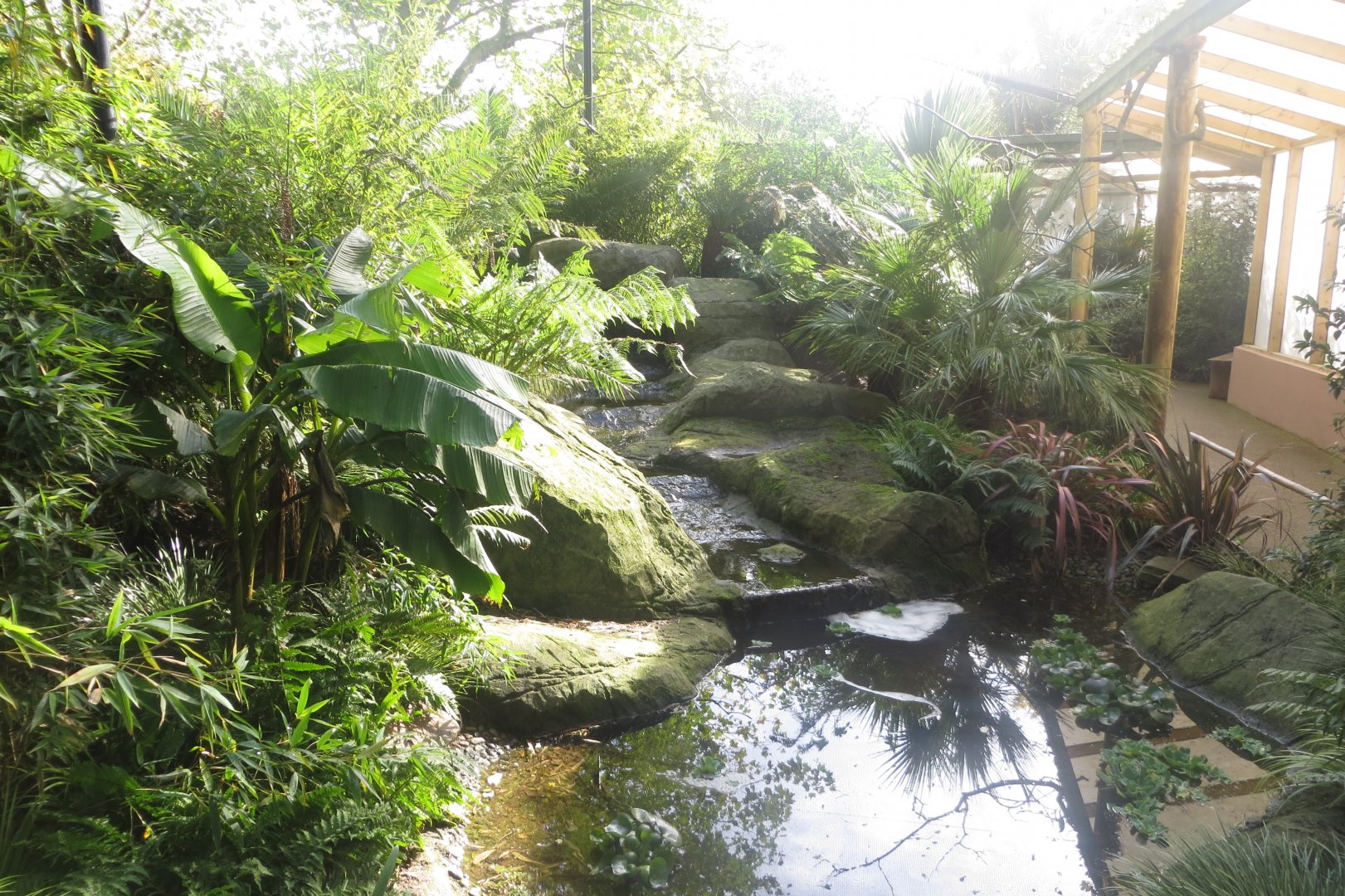 Gems of the Jungle 081018