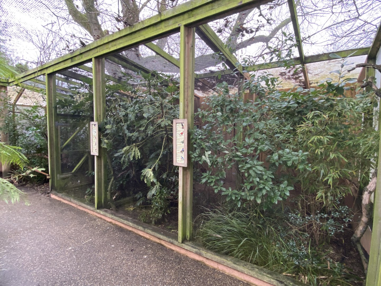 Gems of the Jungle 111221