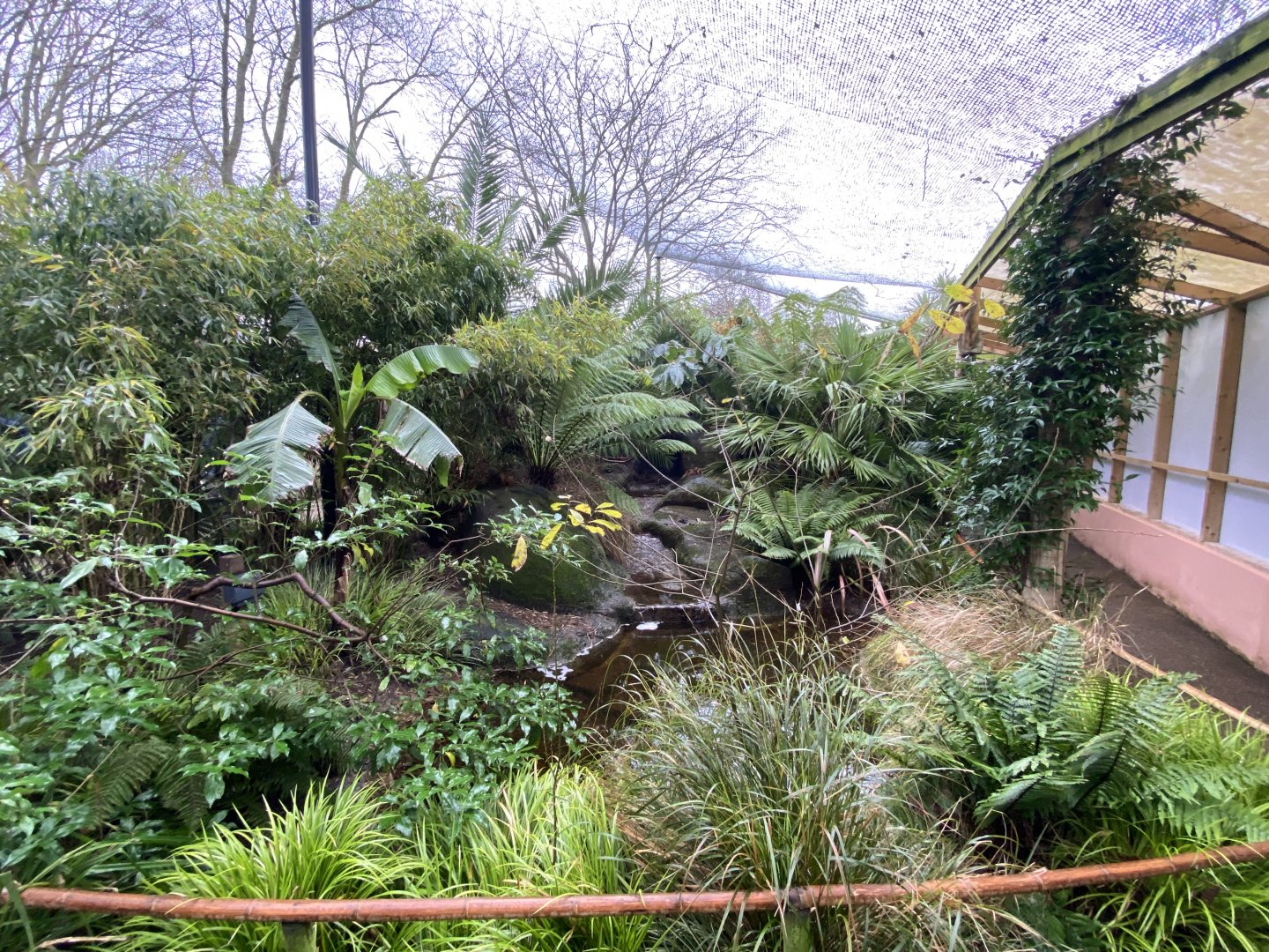 Gems of the Jungle 111221