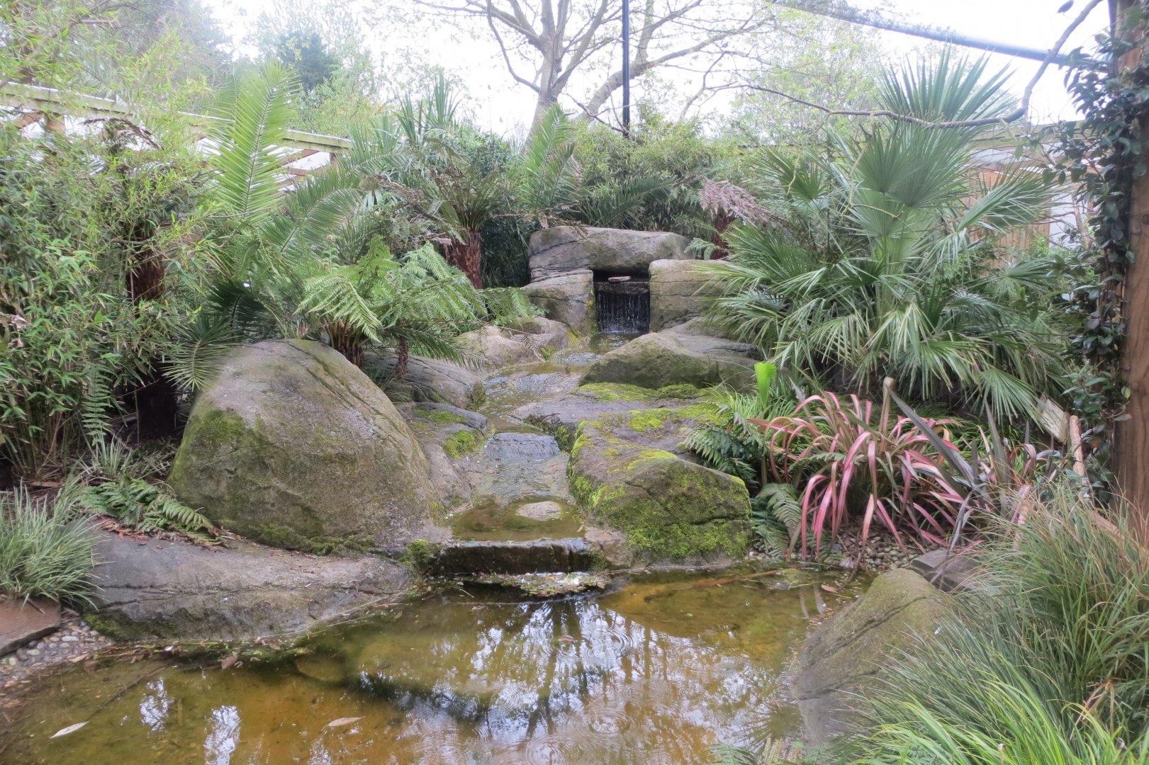 Gems of the Jungle 290419