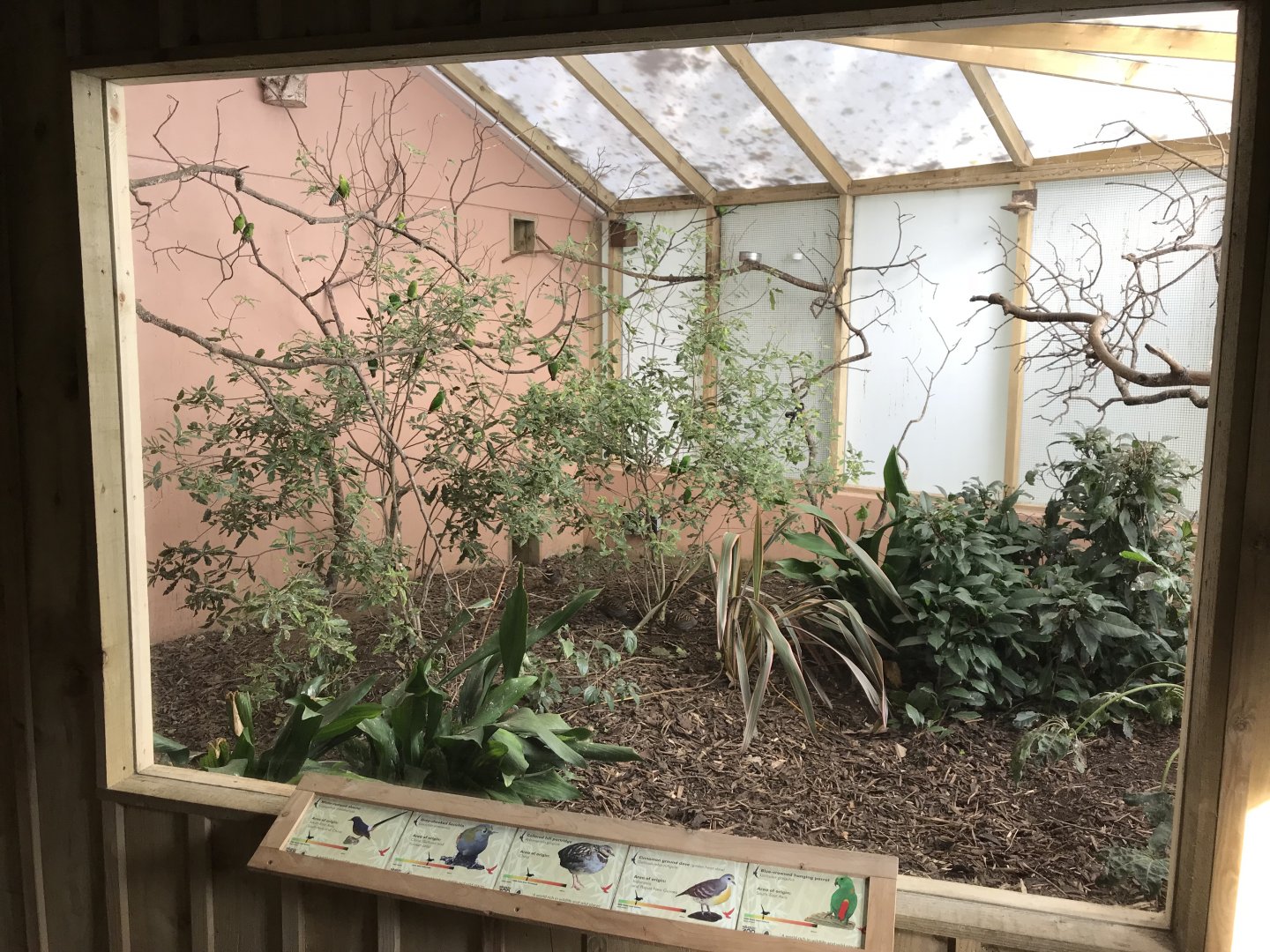 Gems of the Jungle - aviary within entrance section 081018