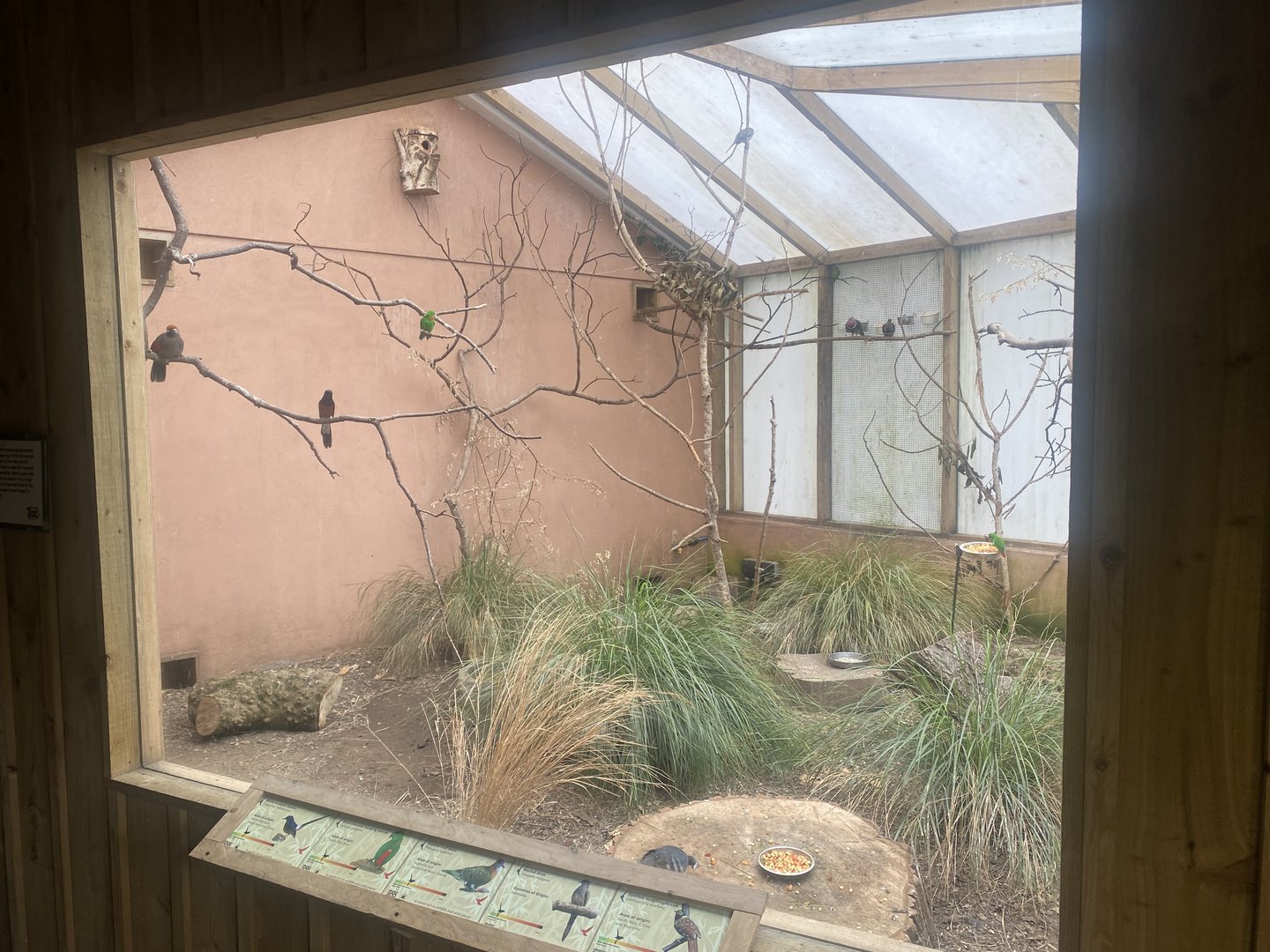 Gems of the Jungle - entrance aviary 060523