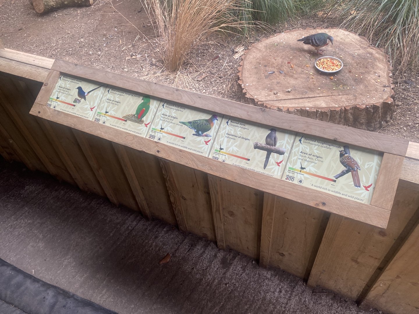 Gems of the Jungle - entrance aviary signage 060523