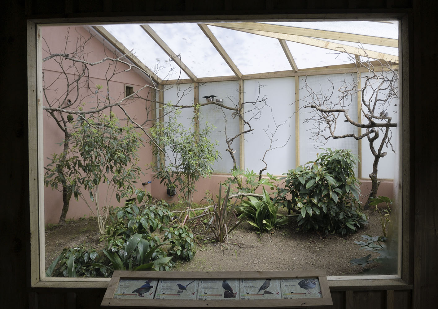 Gems of the Jungle indoor aviary