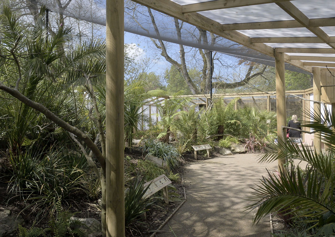 Gems of the Jungle main flight