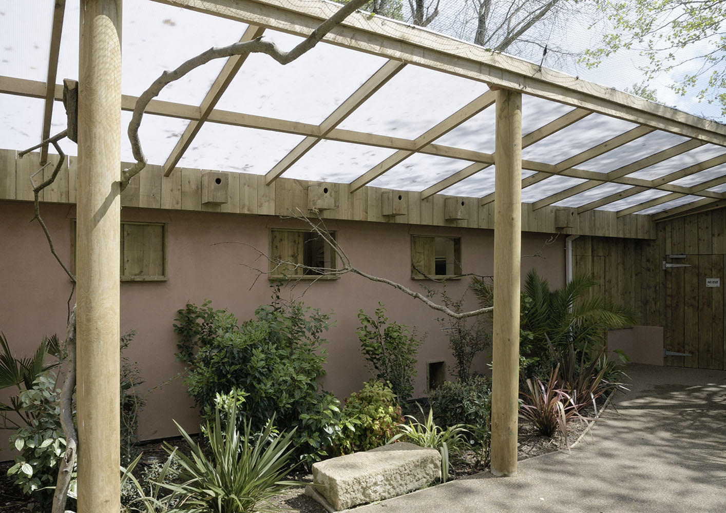 Gems of the Jungle main shelter