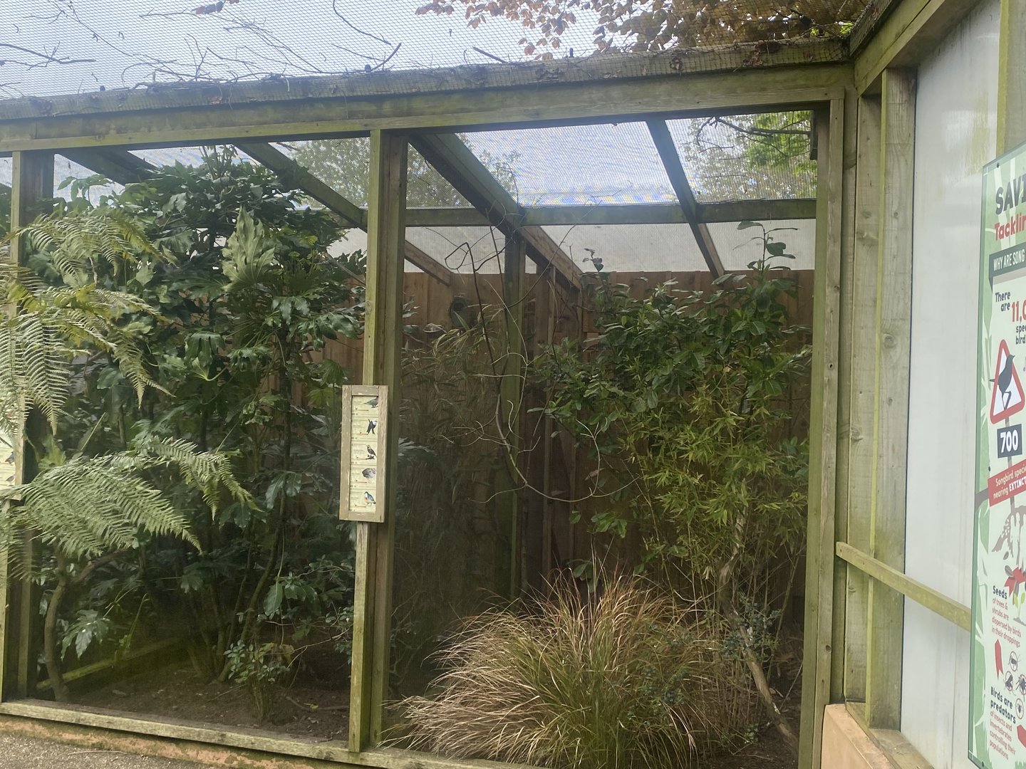 Gems of the Jungle - side aviaries 060523