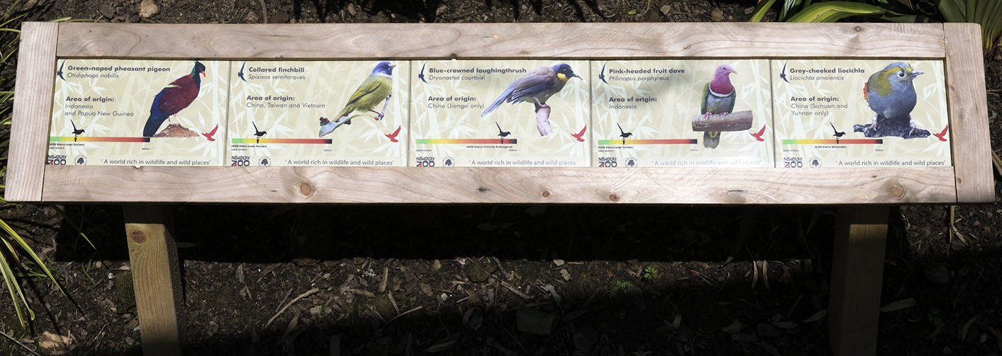 Gems of the Jungle signage