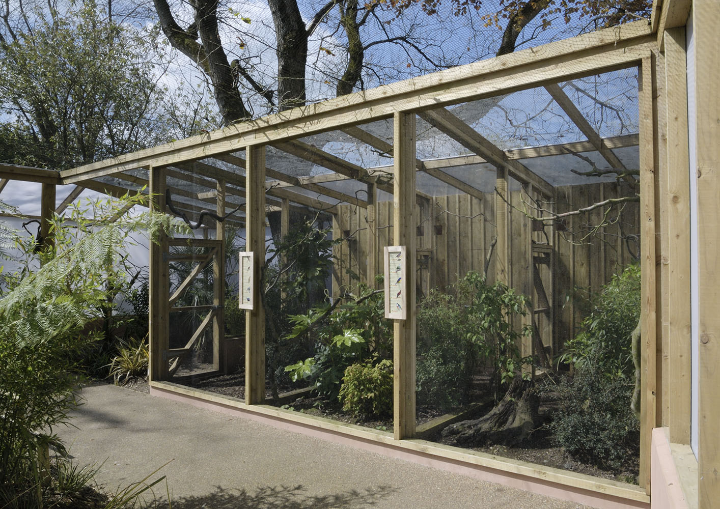 Gems of the Jungle small flights