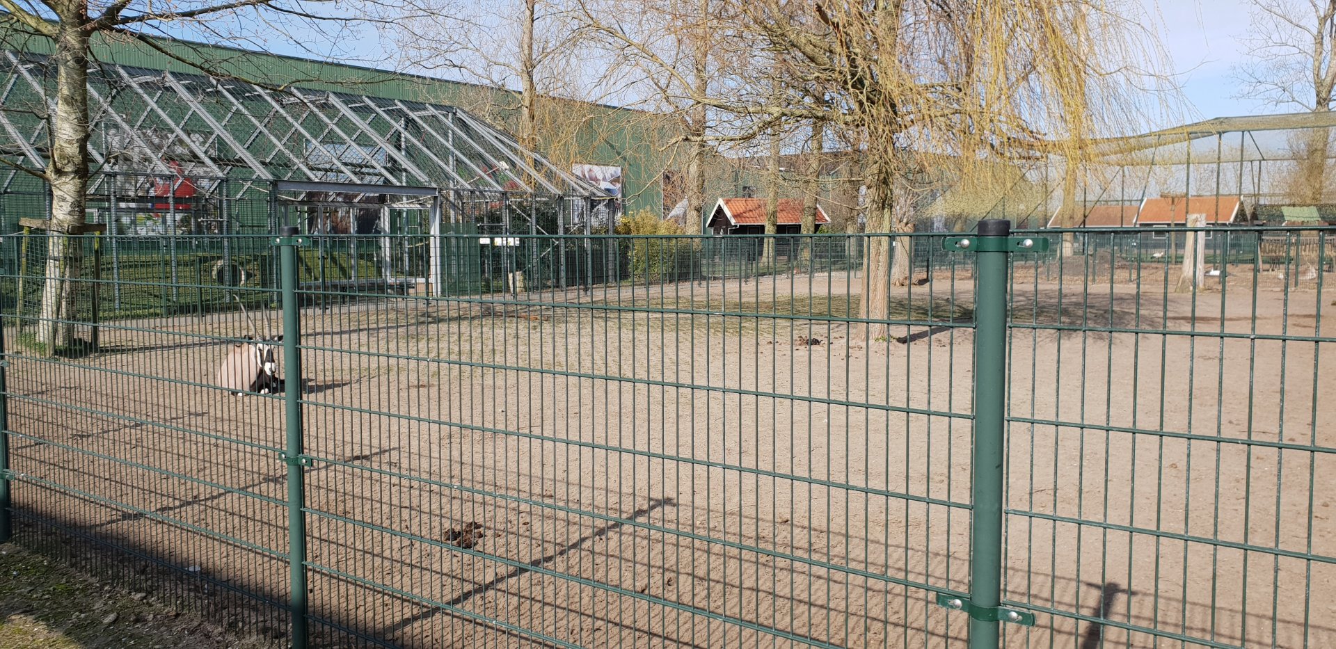 Gemsbok enclosure