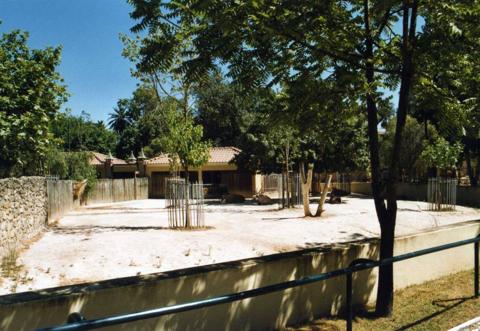 Gemsbok Exhibit