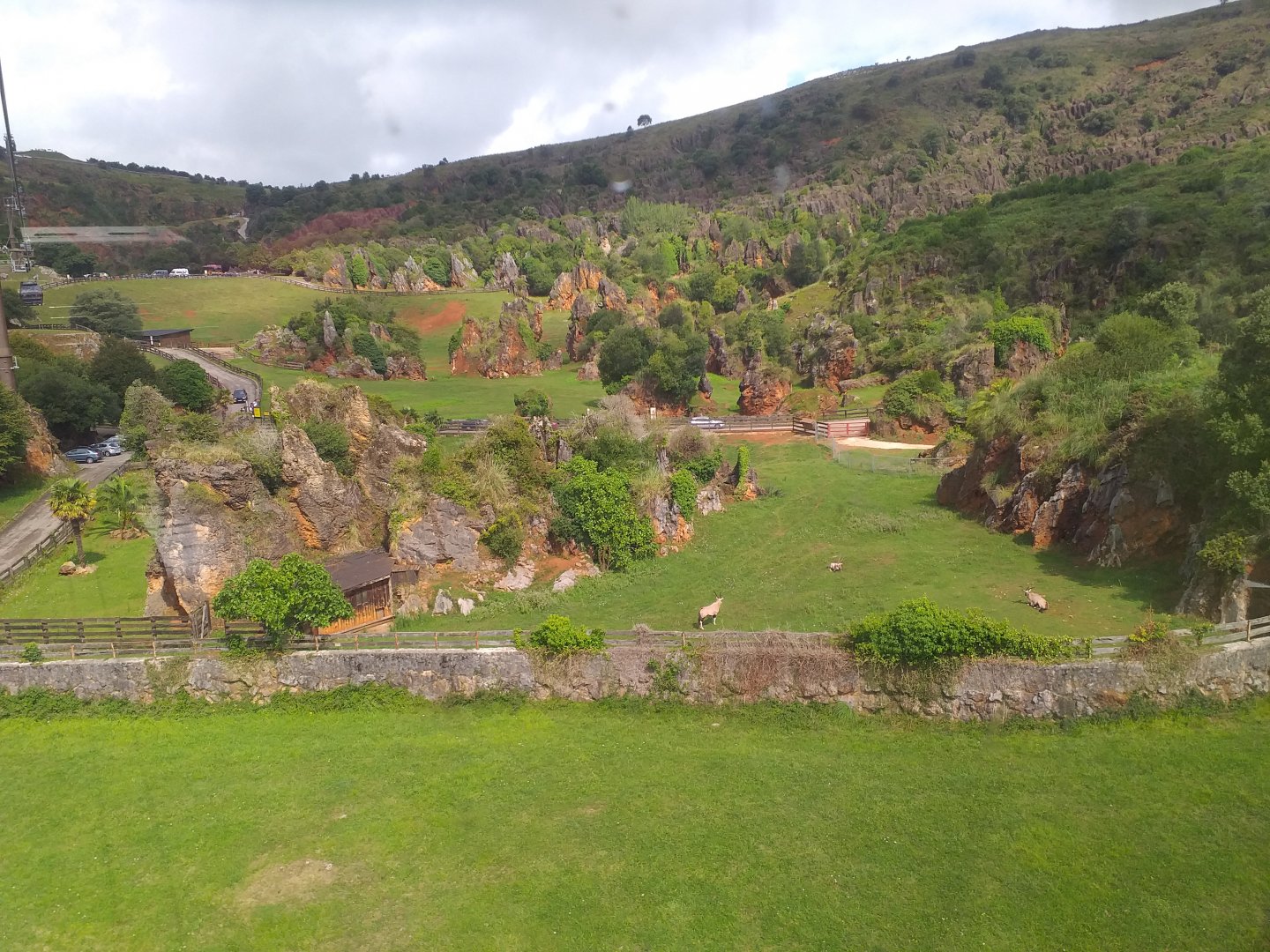 Gemsbok (former warthog) exhibit-Cabarceno (2019)