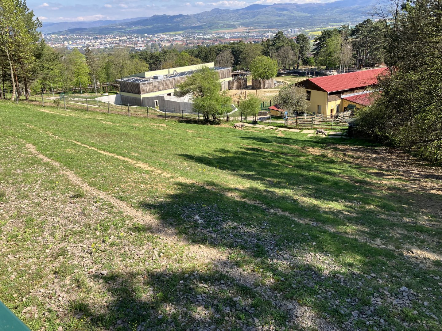 Gemsbok paddock-09/2023