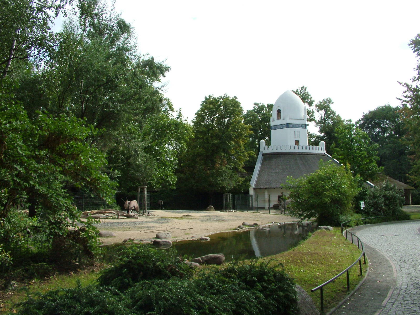 Gemsbok Paddock at Berlin Zoo, 31/08/11