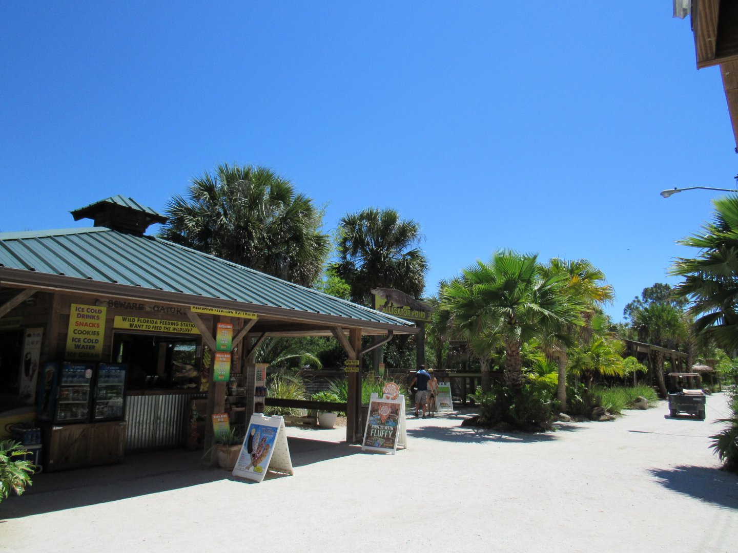 General grounds - Wild Florida