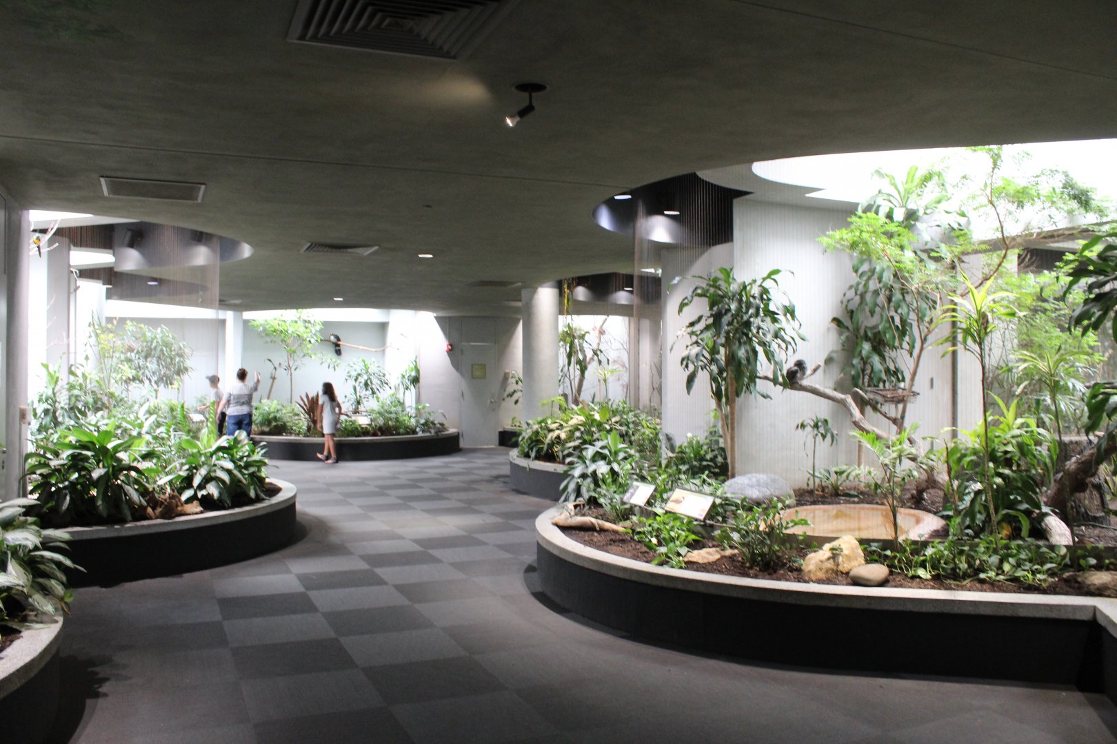 General Overview - Bird House