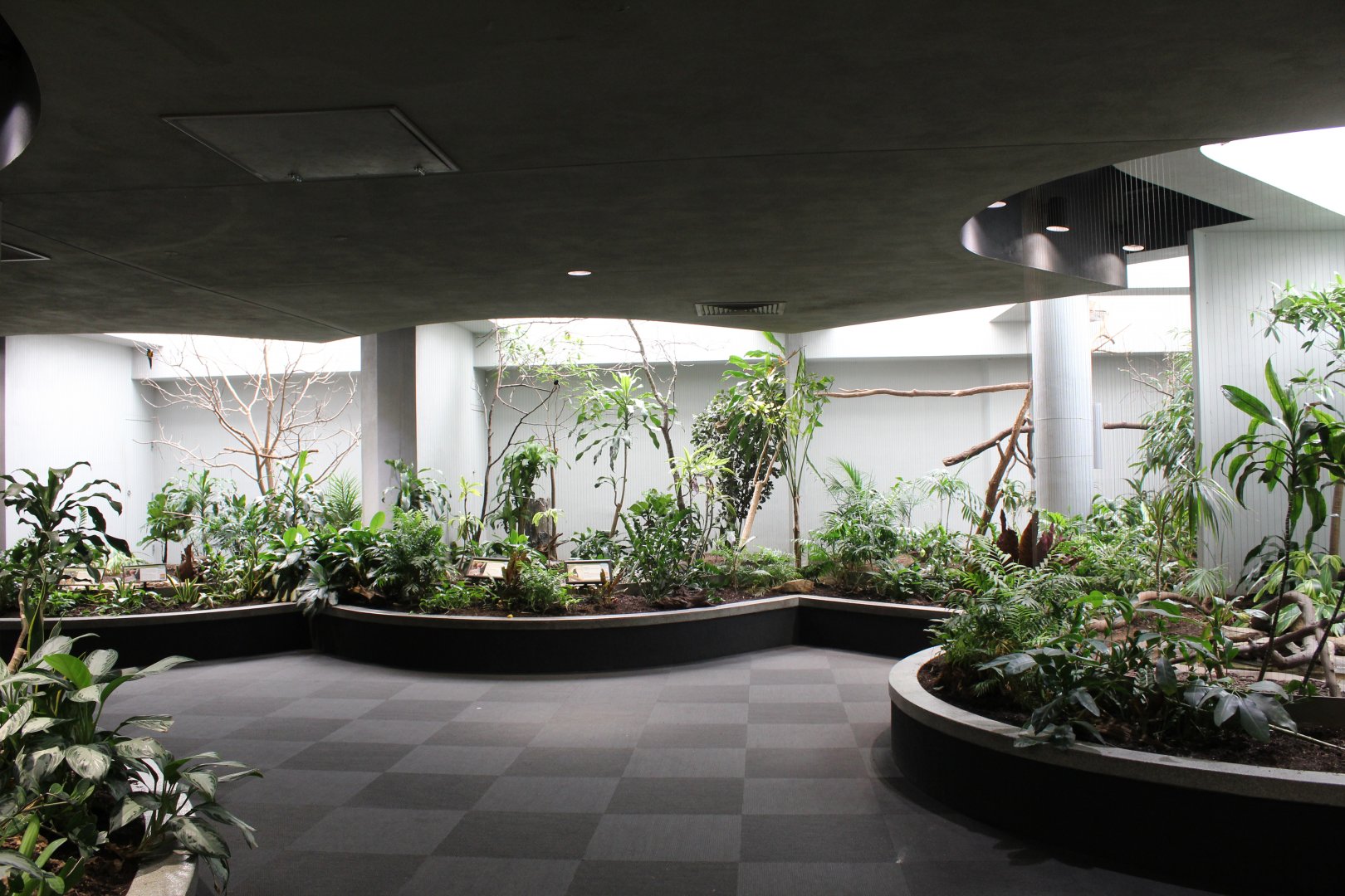 General Overview - Bird House