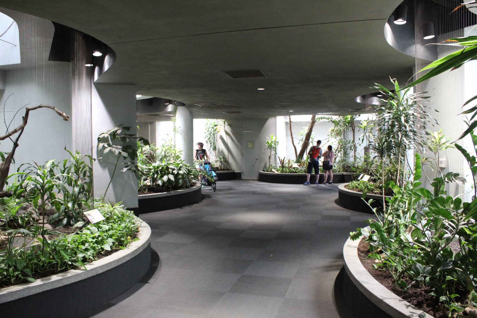 General Overview - Bird House