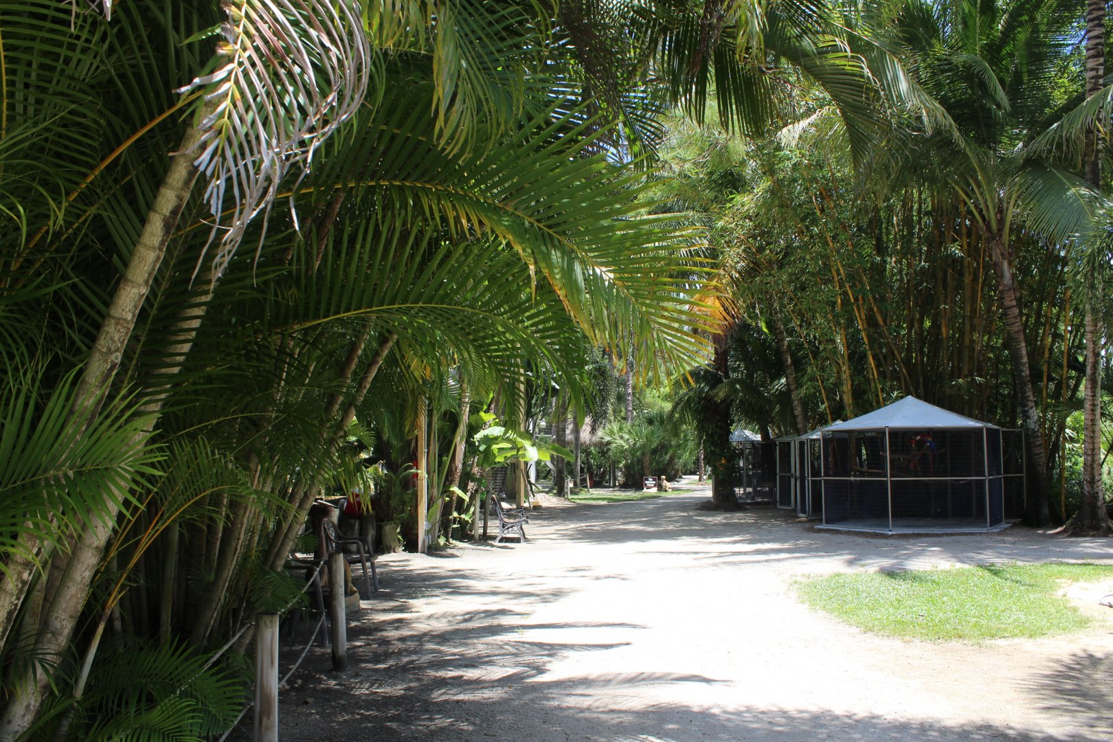 General Overview - Mccarthy Wildlife Sanctuary