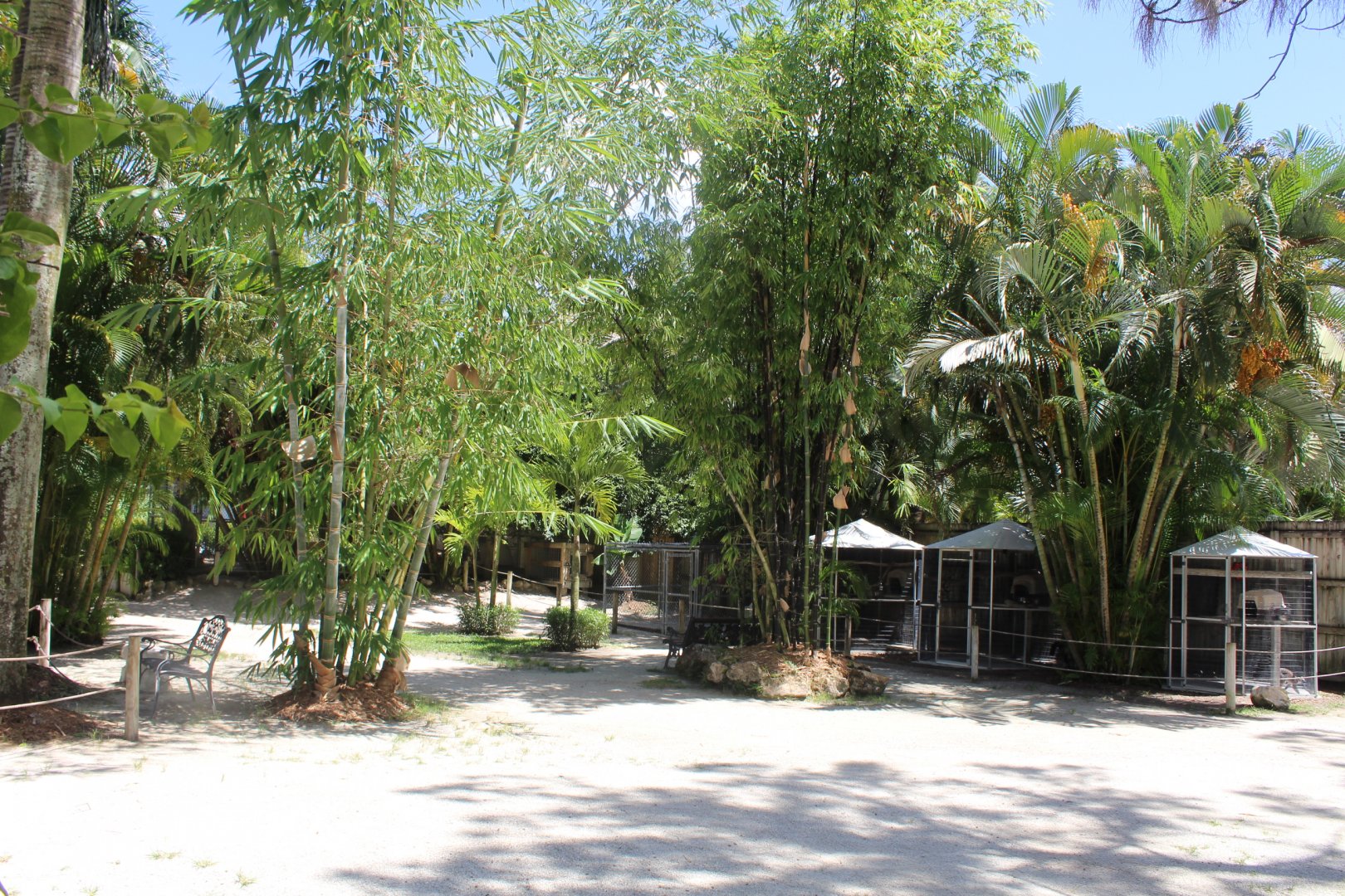 General Overview - Mccarthy Wildlife Sanctuary