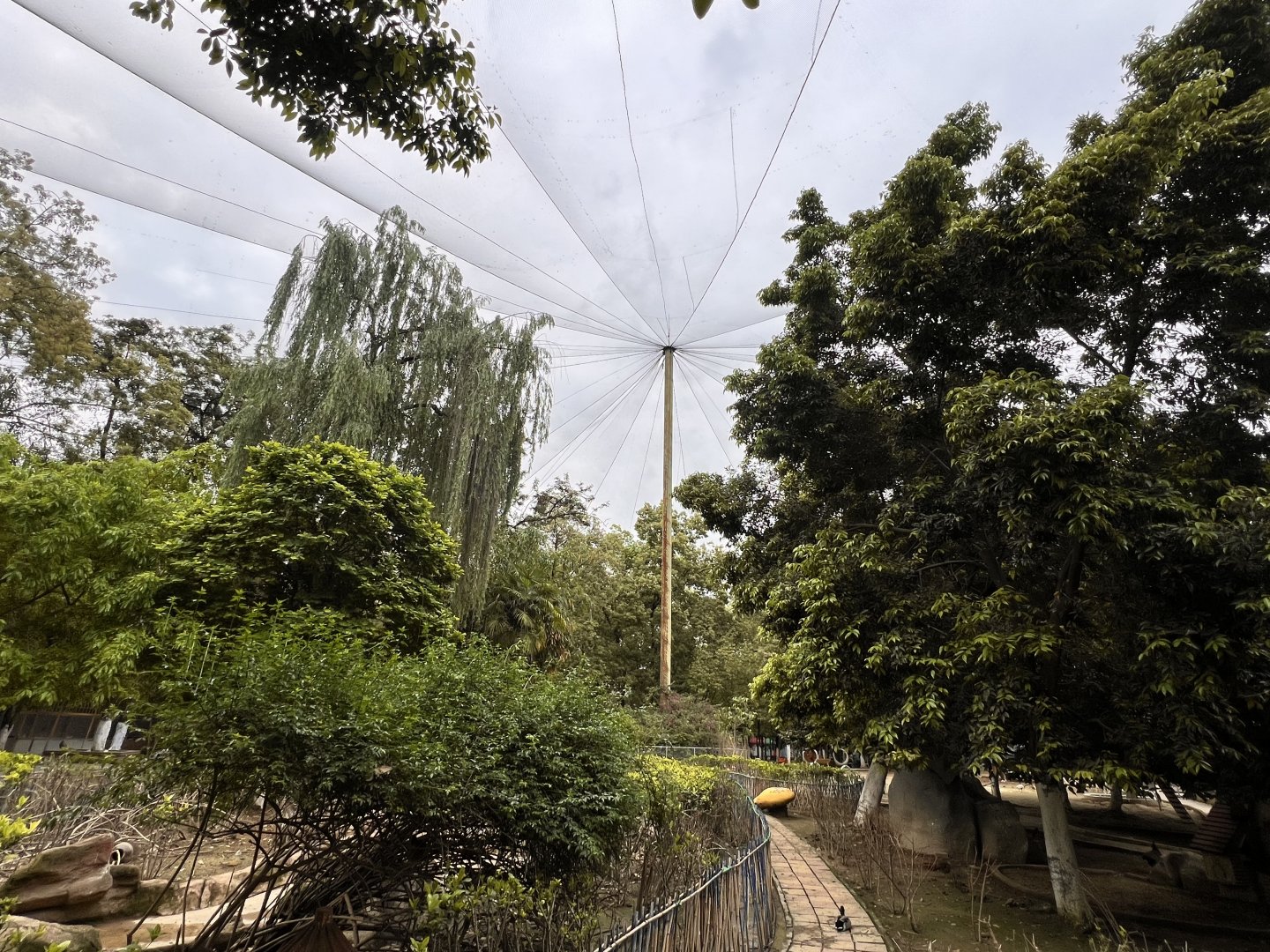 General Overview of the Aviary