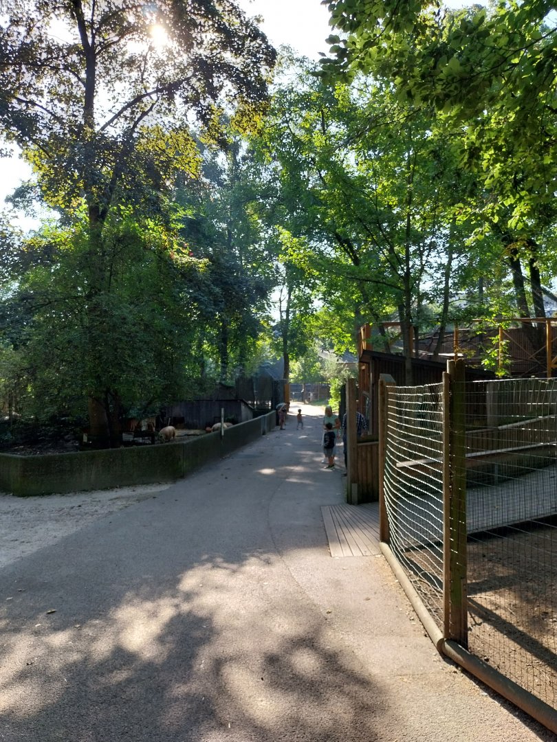 General park view towards the monkey house